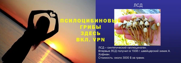 PSILOCYBIN Абинск