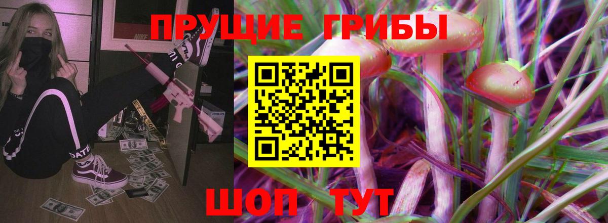 Псилоцибиновые грибы GOLDEN TEACHER  Вход с VPN  Красный Сулин 